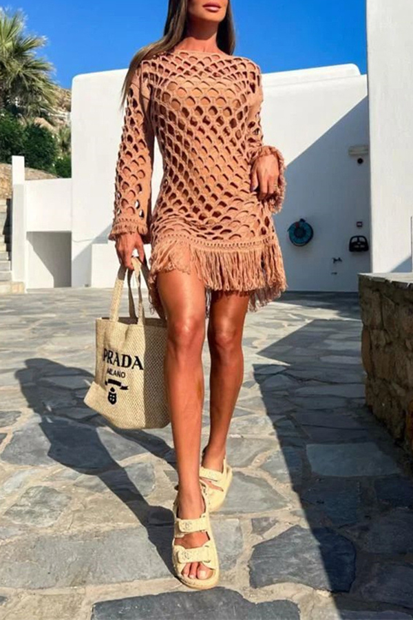 Beautiful Long Sleeved Pullover Fringed Mesh Cover Up-consonak