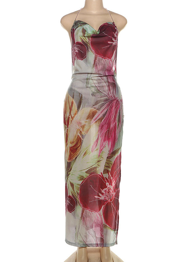 Floral Print Sexy Backless Slit See-Through Holiday Maxi Dress-consonak