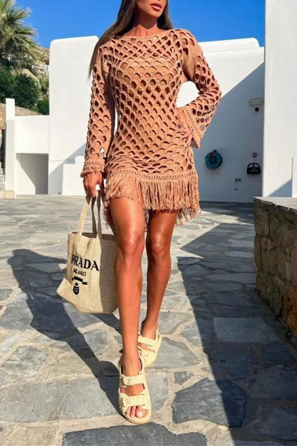 Beautiful Long Sleeved Pullover Fringed Mesh Cover Up-consonak