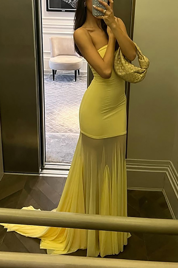 Solid Color Sleeveless Off-shoulder Mesh-paneled Fitted Maxi Dress-consonak