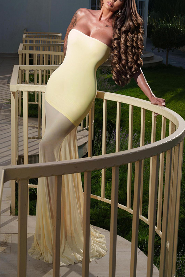 Solid Color Sleeveless Off-shoulder Mesh-paneled Fitted Maxi Dress-consonak