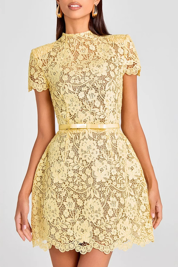Champagne Toast Flower Lace Short Sleeve Bow Belted Mini Dress-consonak