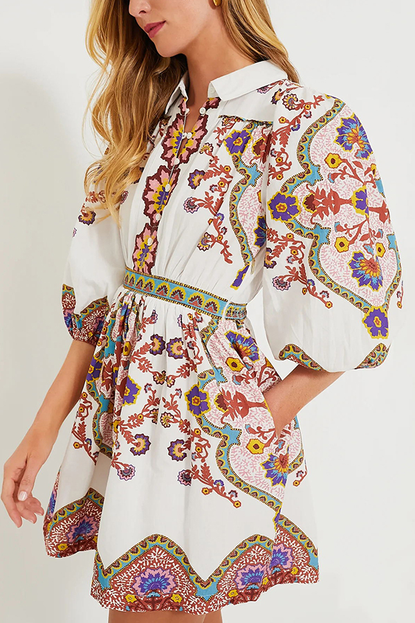 Fun and Vibrant Linen Blend Unique Print Puff Sleeve Pocketed Shirt Mini Dress-consonak