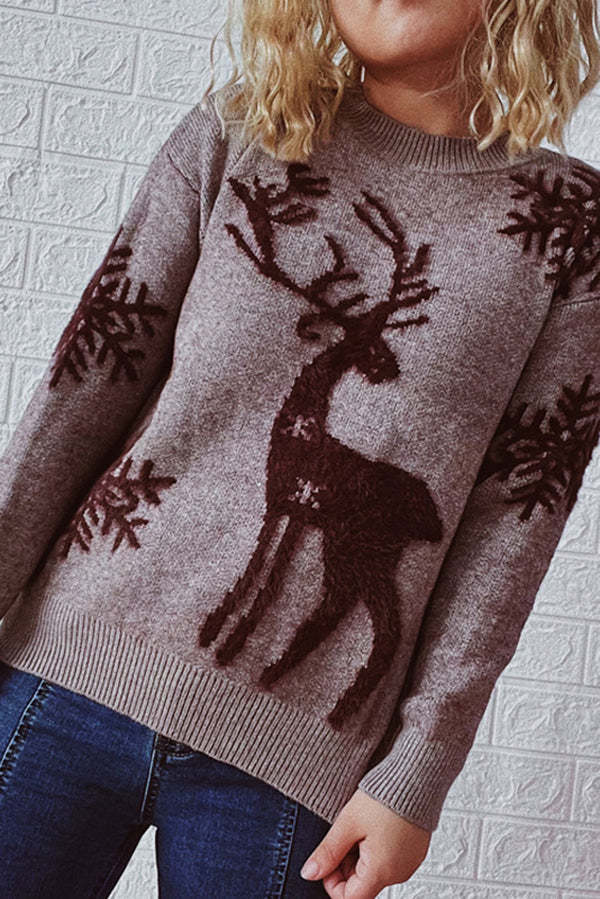 Christmas Pattern Knitted Crew Neck Long Sleeved Sweater-consonak