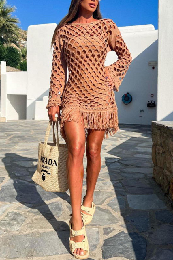 Beautiful Long Sleeved Pullover Fringed Mesh Cover Up-consonak
