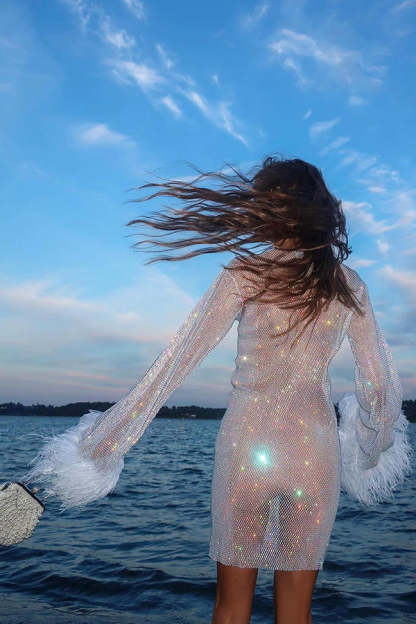 Night Surprise Rhinestone Fabric Feather Sleeve Party Mini Dress-consonak