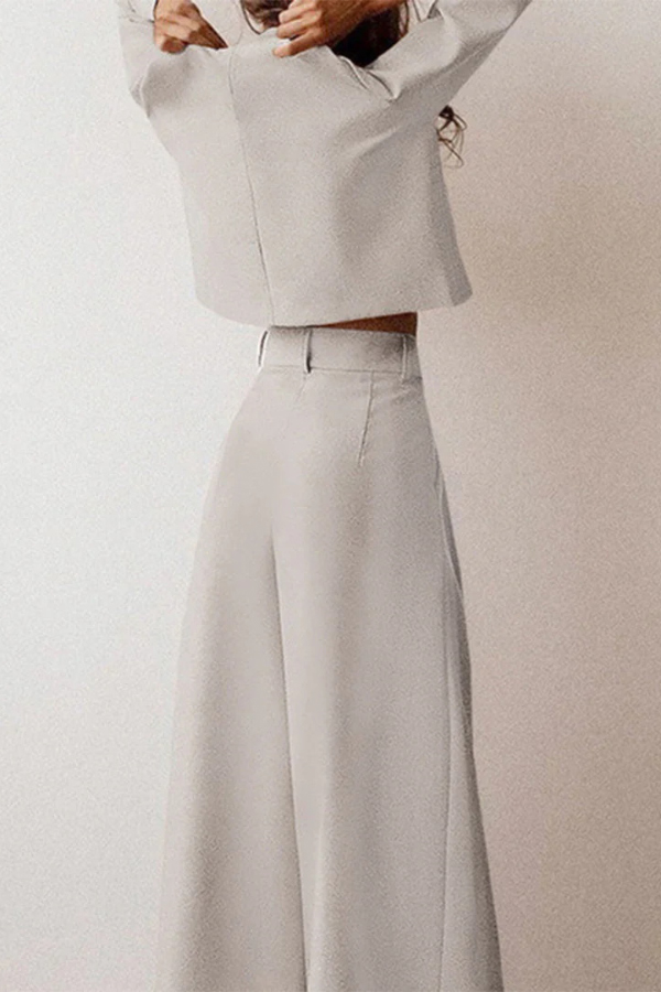 Solid Color Crew Neck Long-sleeved Cropped Top and Casual Pocket Wide-leg Pants Set-consonak