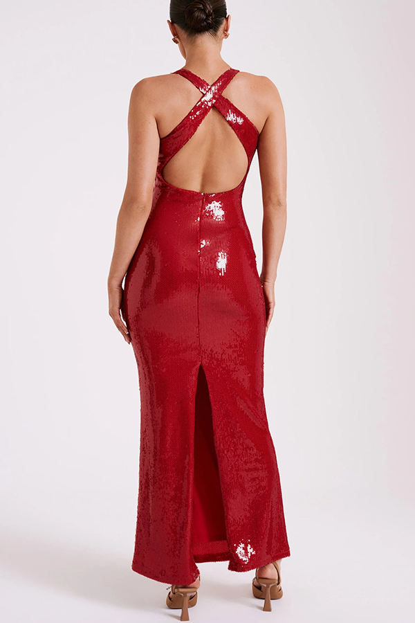 Sicilian Rose Sequin Three-dimensional Floral Sexy Backless Maxi Dress-consonak