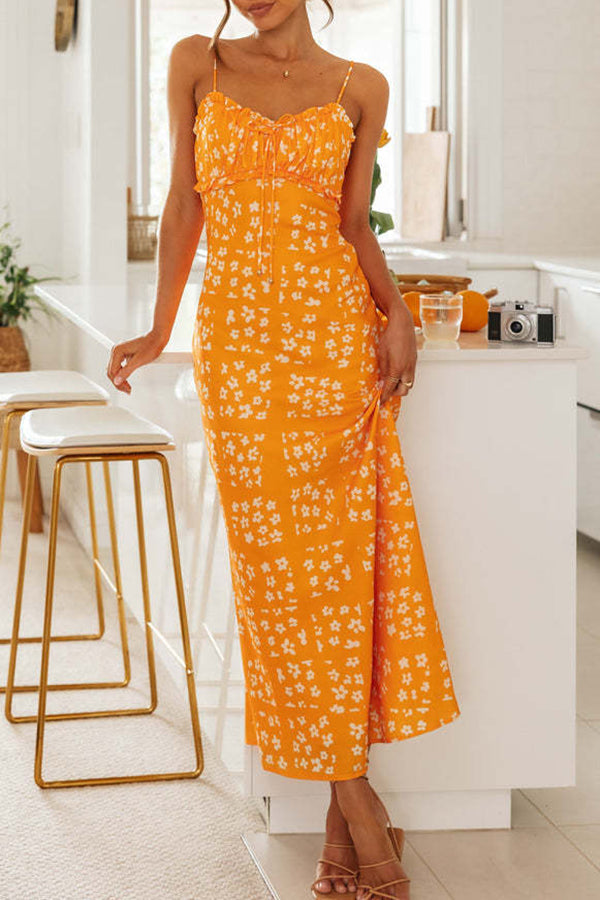 Starry Floral Print Lace Up Pleated Patchwork Zip Back Maxi Dress-consonak