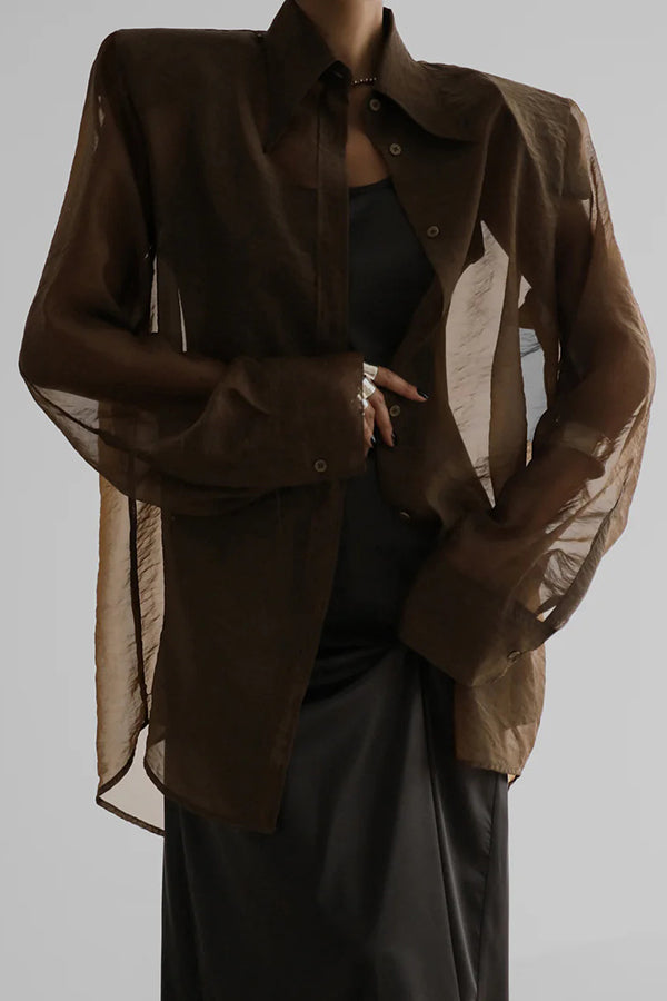 Retro Sheer Loose Long-sleeved Casual Shirt-consonak