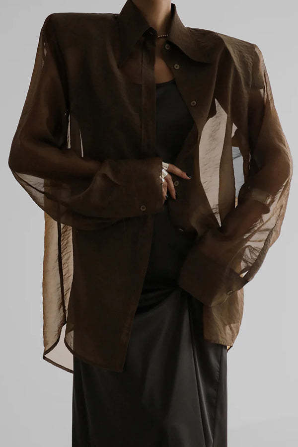 Retro Sheer Loose Long-sleeved Casual Shirt-consonak