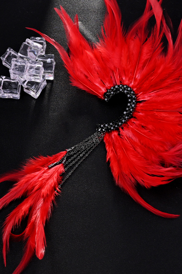 Gorgeous Red Feather Tassel Earrings-consonak