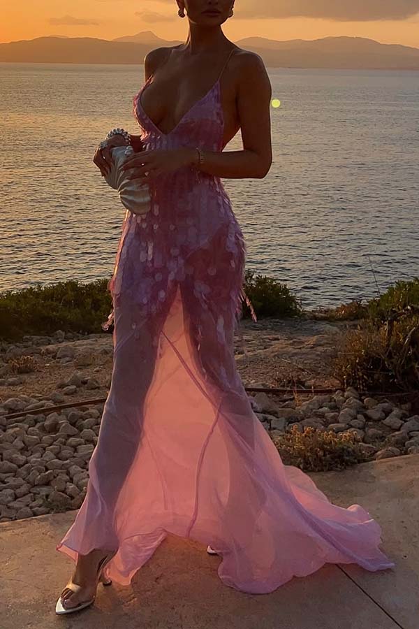 Perfect Night Sequin Embroidery Backless Drape Tulle Hem Slip Maxi Dress | Consonak