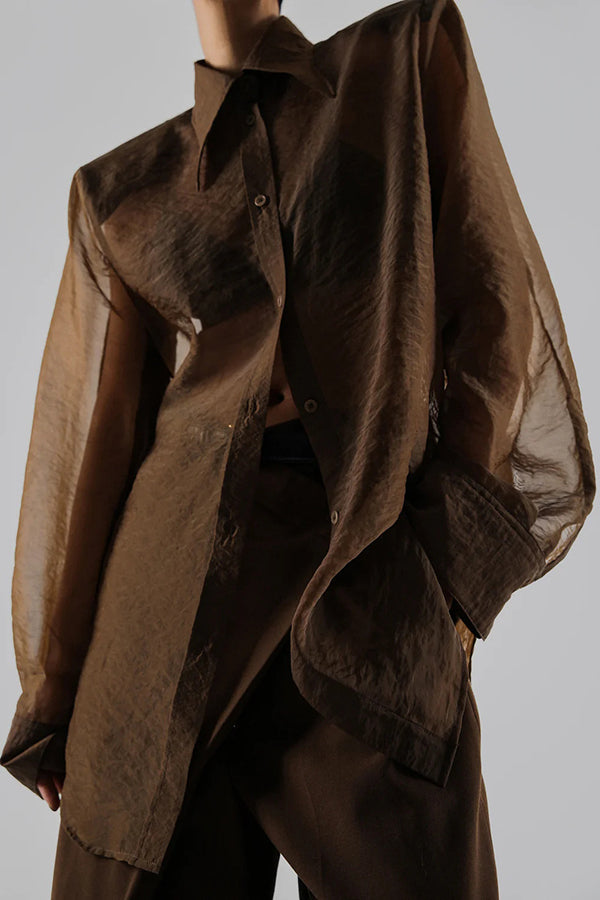 Retro Sheer Loose Long-sleeved Casual Shirt-consonak