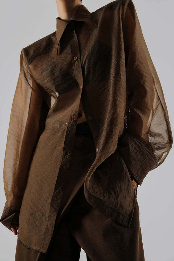 Retro Sheer Loose Long-sleeved Casual Shirt-consonak