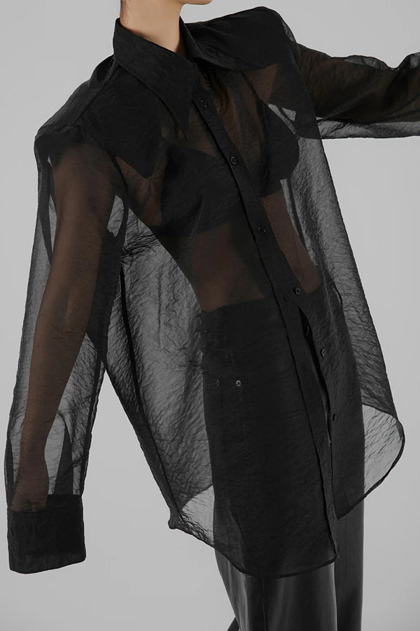 Retro Sheer Loose Long-sleeved Casual Shirt-consonak