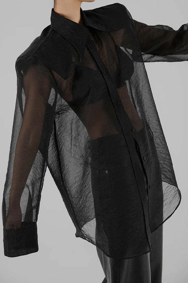 Retro Sheer Loose Long-sleeved Casual Shirt-consonak