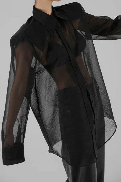 Retro Sheer Loose Long-sleeved Casual Shirt-consonak