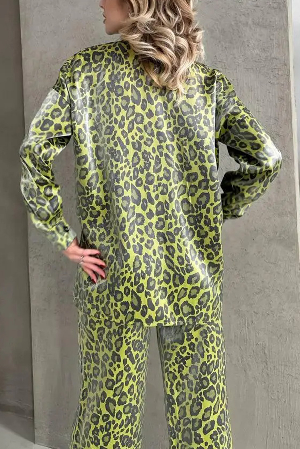 Leopard Print Long-sleeved Casual Top and Loose Elastic Waist Tie Pants Set-consonak