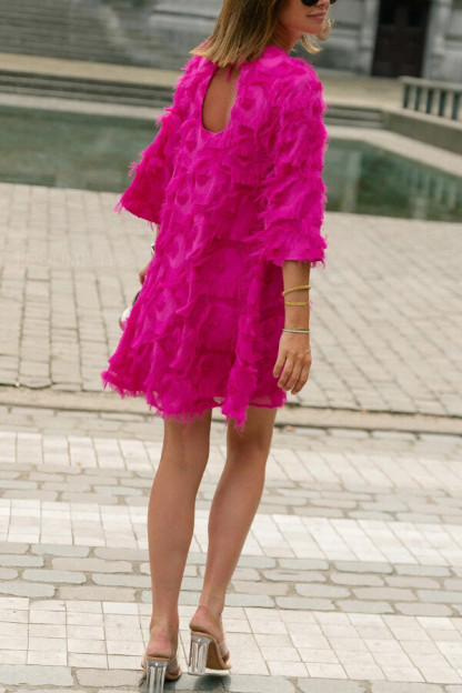 Solid Color Loose Round Neck Casual Tassel Mini Dress-consonak