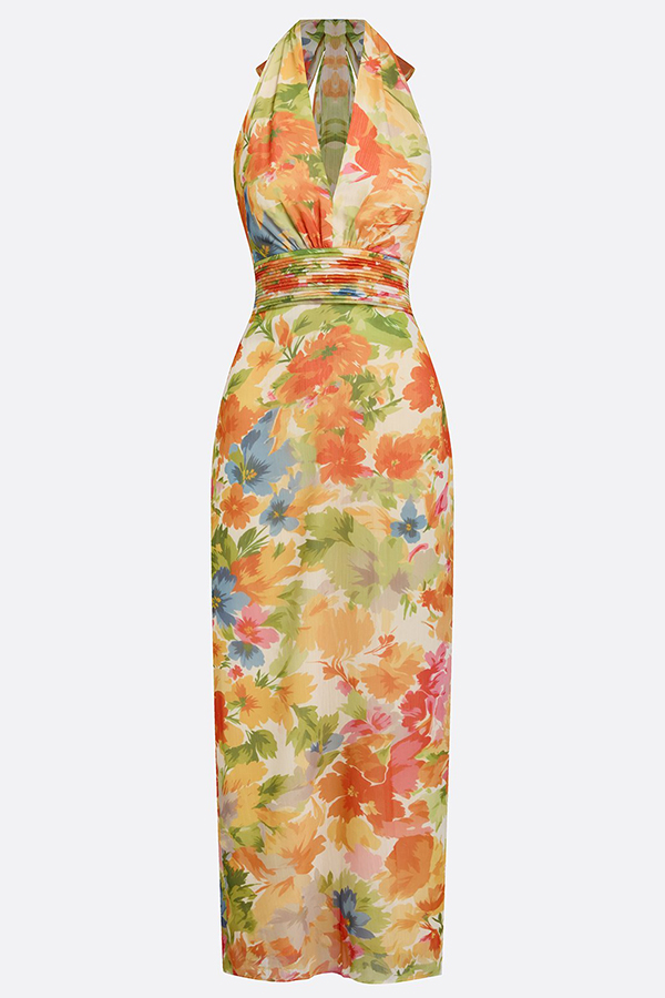 Lauria Chiffon Floral Print Ruched Waist Halter Tie-up Neck Backless Maxi Dress-consonak