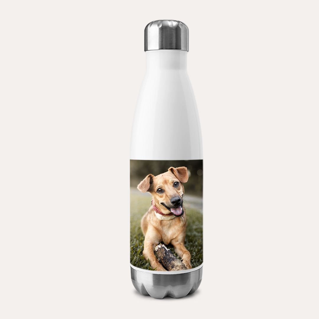 Message Stainless Insulated Water Bottle