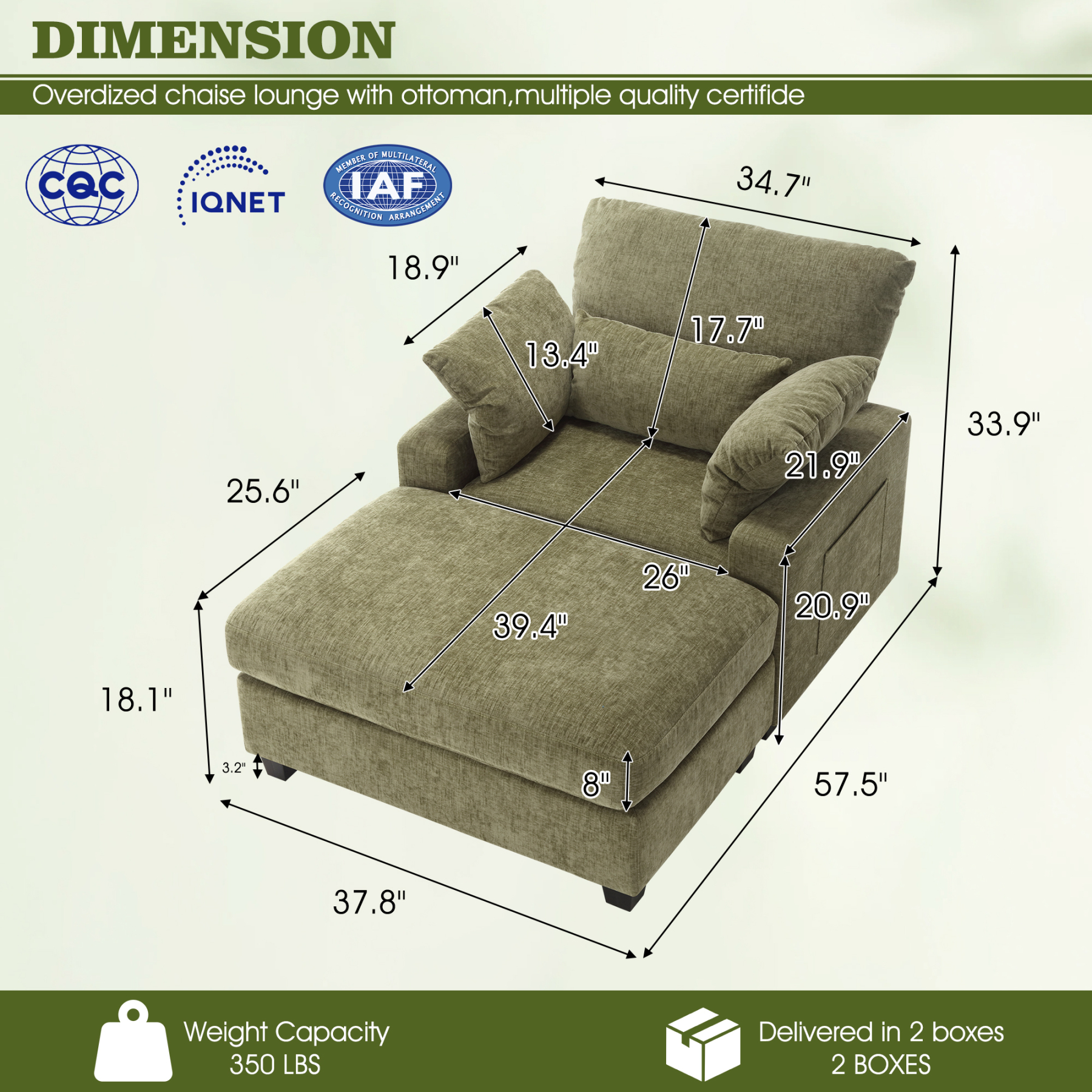 LuxeLounger 57.52 " Single Chair With Ottoman