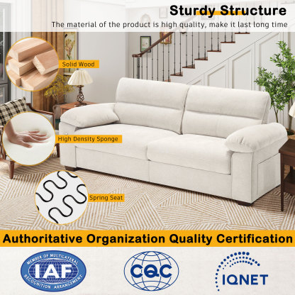 PillowArm Comfort Sleeper Sofa