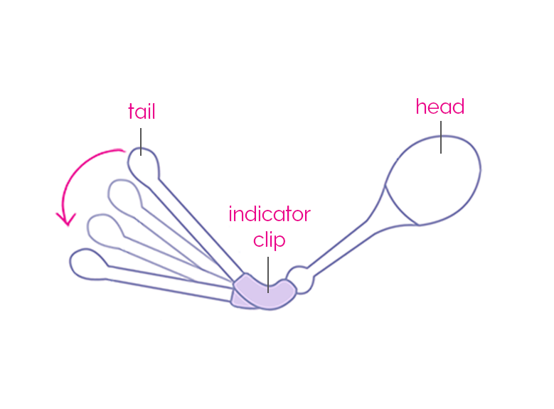 Kegel8 Vaginal Cones Kegel8 Vaginal Weights