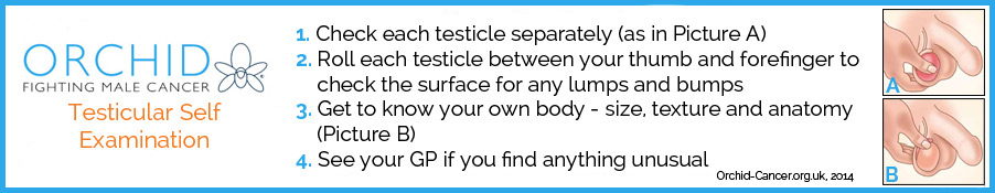 Testicular-Self-Examination