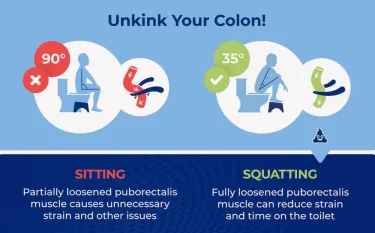 Squatty Potty Curve Toilet Stool