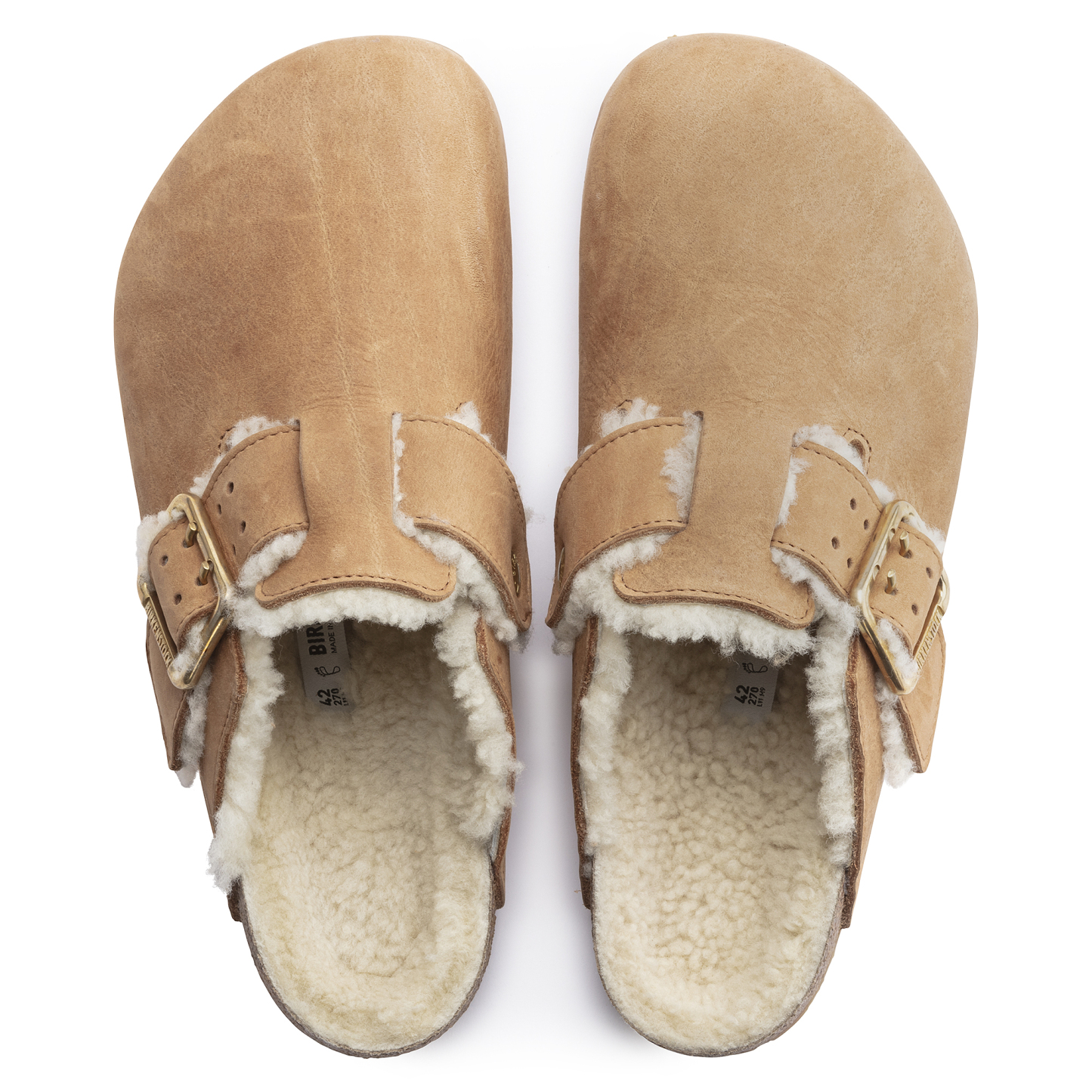 Boston Bold Shearling