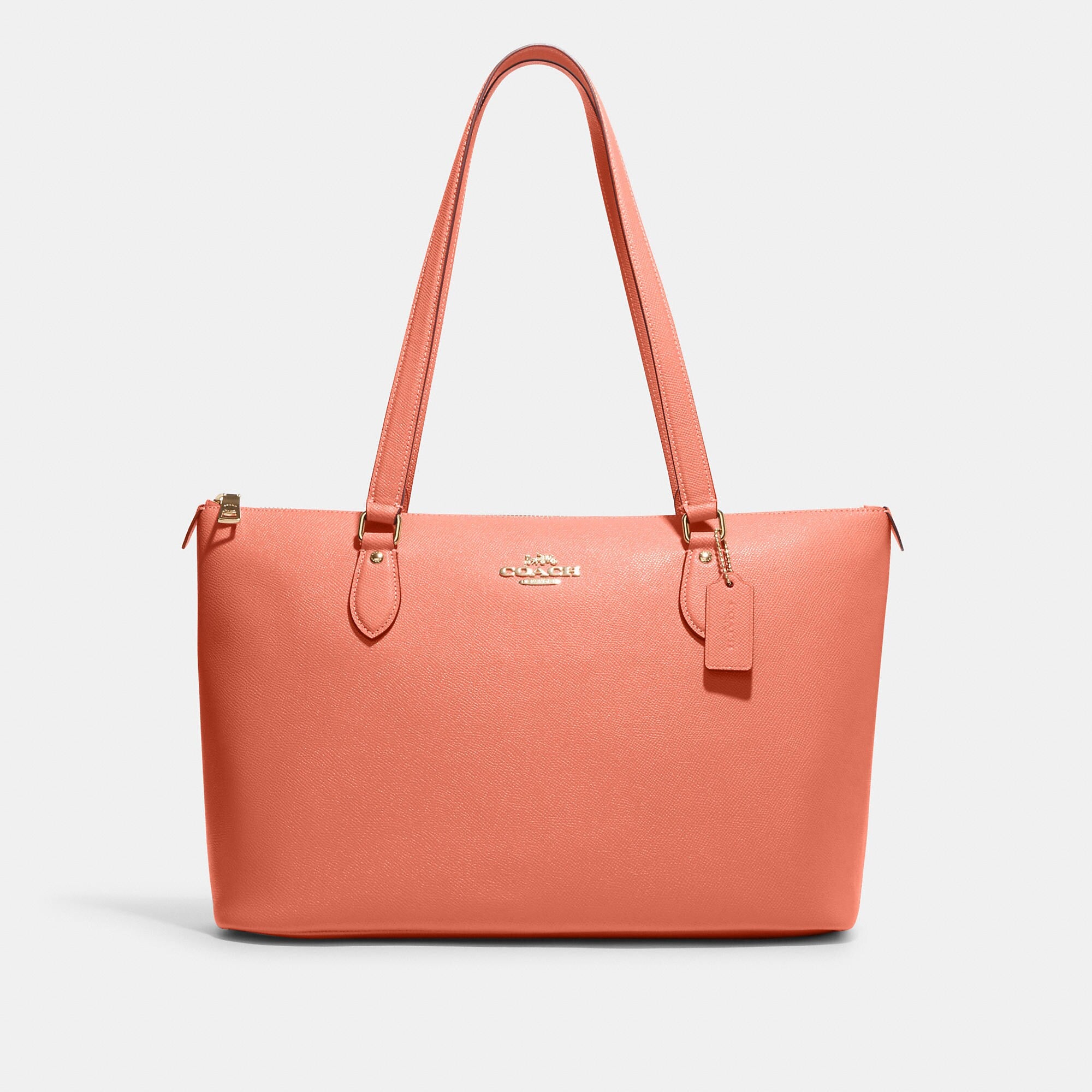 Cotthhach Classic handbags