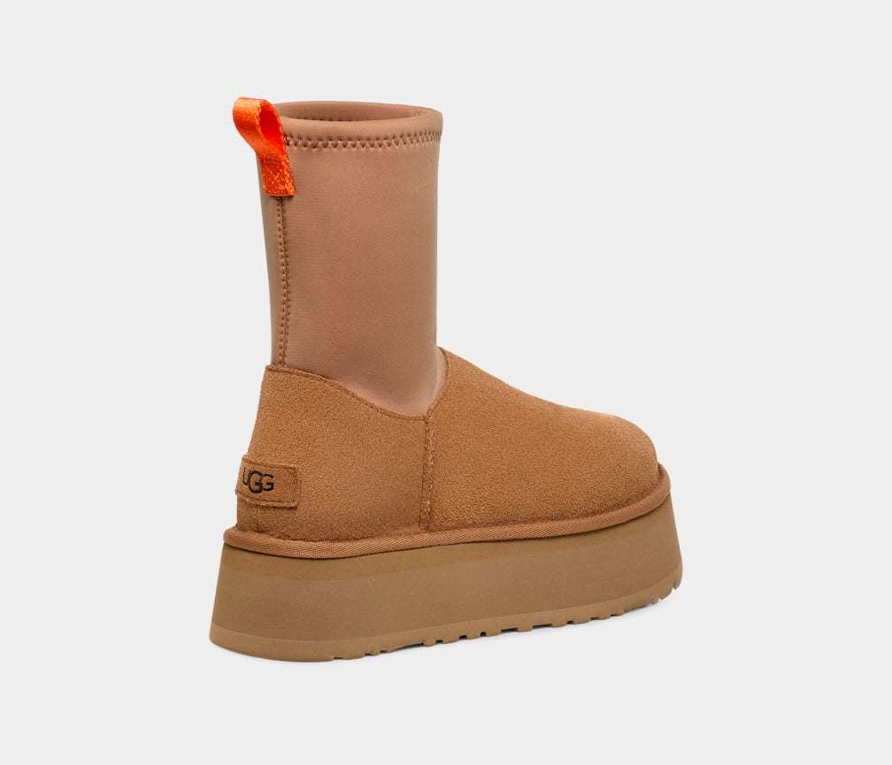 Women's Classic Dipper
