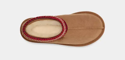 Women's Tasman Regenerate