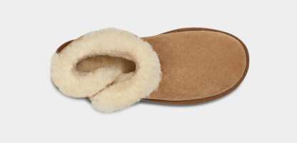 Women's Mini Bailey Button II Boot