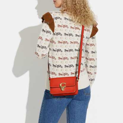 Cotthhach Classic handbags