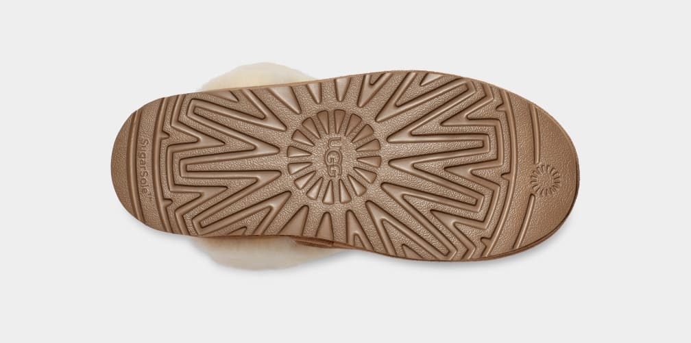 Women's Classic Chillapeak