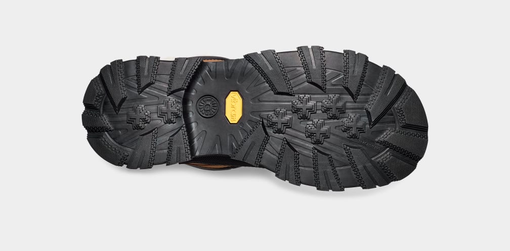 Women's Adirondack Meridian