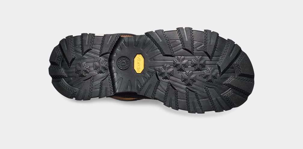 Women's Adirondack Meridian