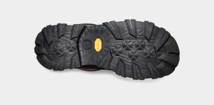 Women's Adirondack Meridian
