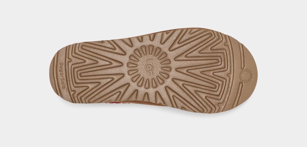 Women's Tasman Regenerate