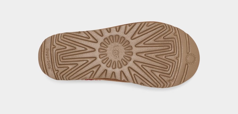 Women's Tasman Regenerate