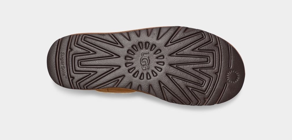 Women's Classic Short Toggler