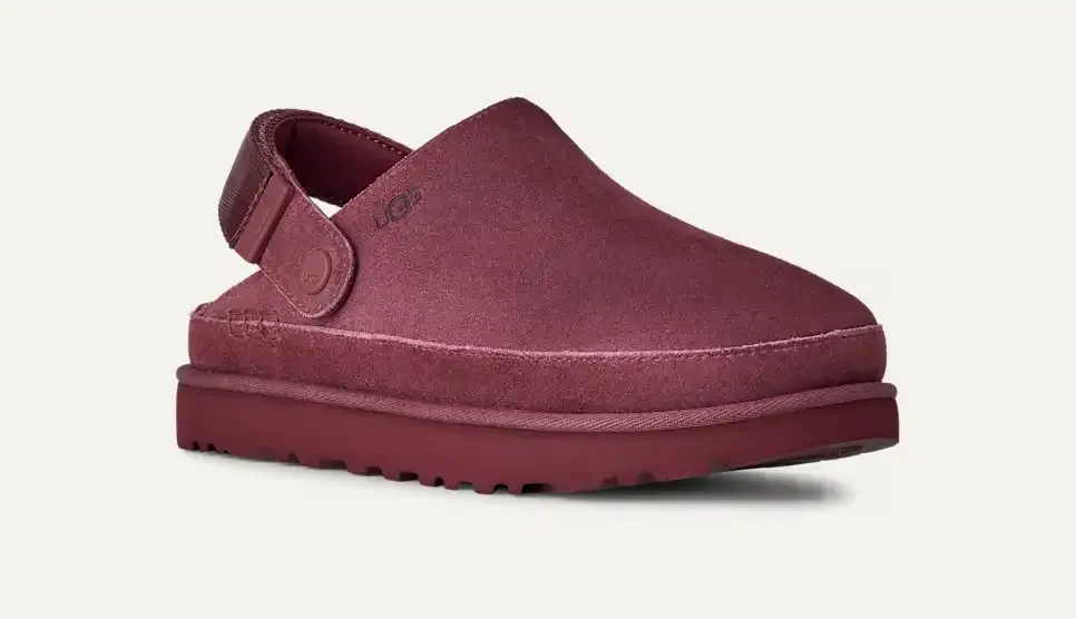 UtthhGG Women's Goldenstar Clog
