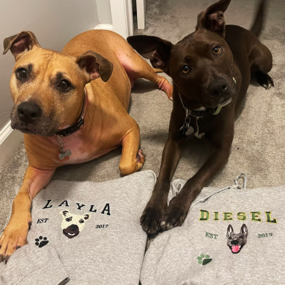 Custom Pet Embroidery Hoodie, Sweatshirt With Your Pet's Portrait Photo, Unique Gift For Pet Lovers