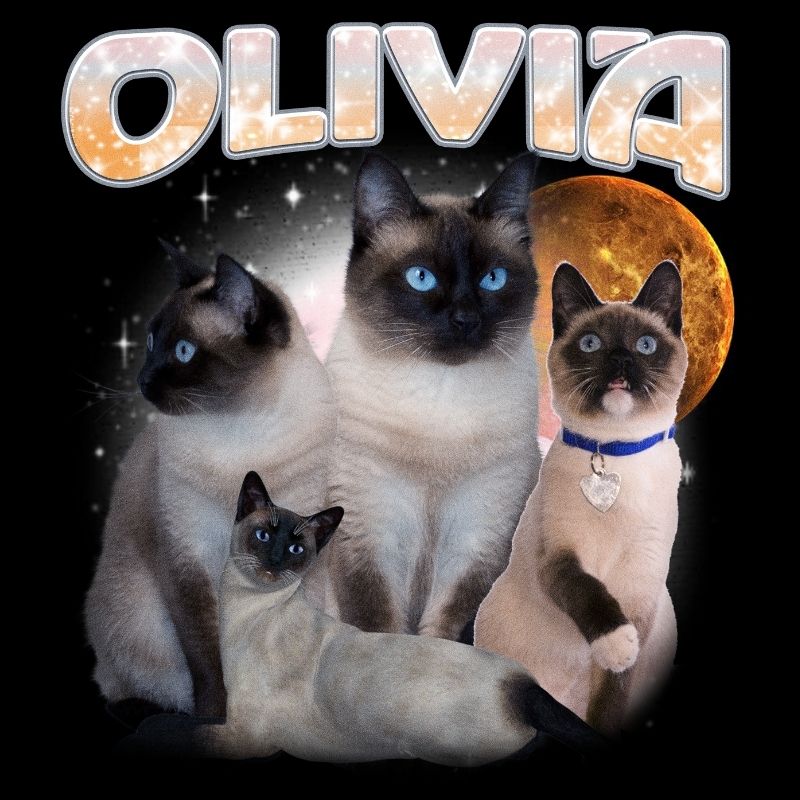 Custom "Universe Owner 2" Handcraft Tee