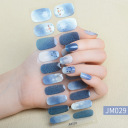 JM029