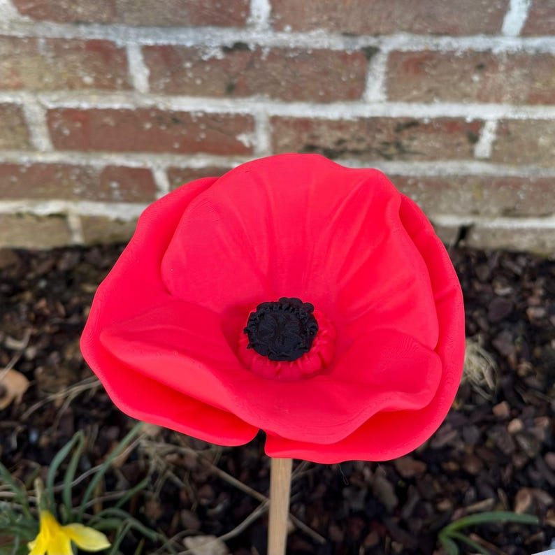 🐝🌸 Beautiful Flower-Shaped Insect Waterer 🐦
