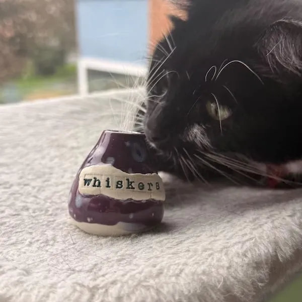 Hand-Thrown Whiskers Keepsake Vase - Purple Speckled